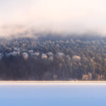 下一个商品图像